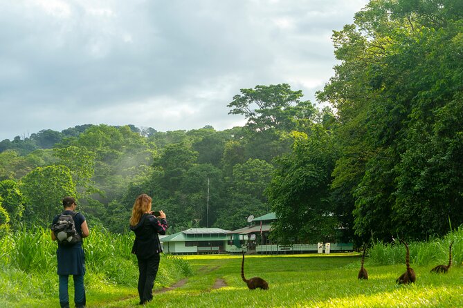 Corcovado and Drake Bay 2-Day Small-Group Safari Guided Tour - Group Size and Logistics