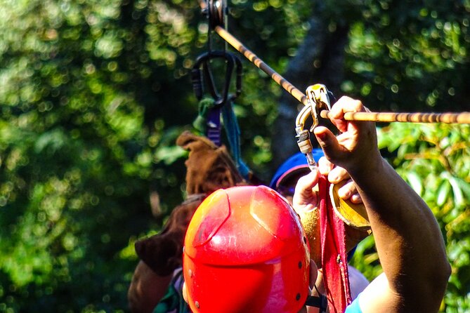 Costa Rica Monkey Jungle Zipline From Tamarindo - Inclusions and Amenities