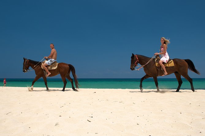 Cozumel Beach Horseback Riding Tour - Whats Included