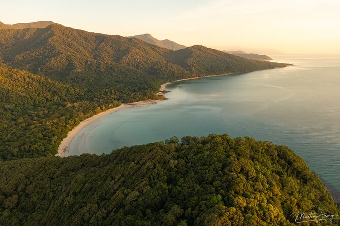 Daintree Ancient Giants Easy Rainforest Hike, Beach, Swim & Lunch - Rainforest Lunch and Dining