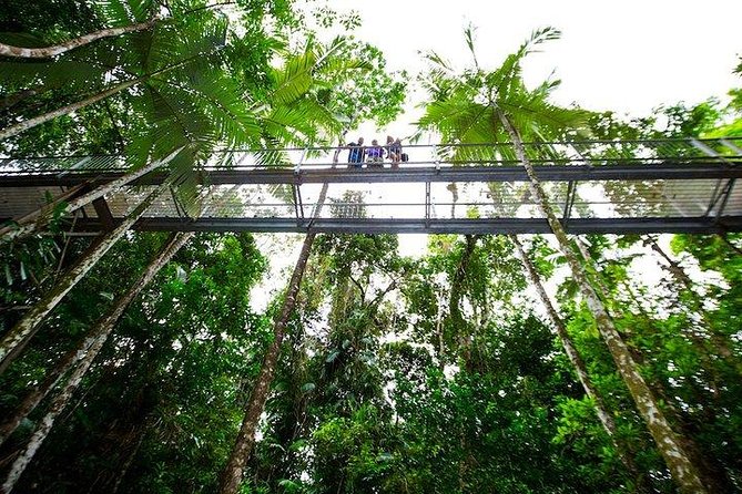 Daintree Discovery Centre Family Pass Ticket - Whats Included in Ticket