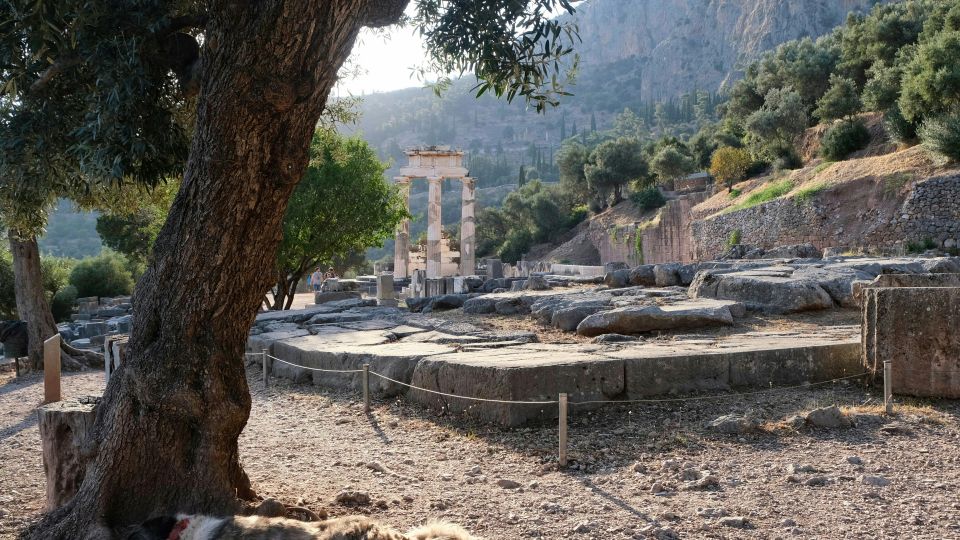 Delphi: Exclusive Self-Guided Audio Tour in Earths Navel - Important Details and Reminders