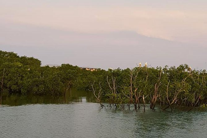 Discover Darwin Harbour 1 Hour Darwin Harbour Cruise - Essential Tour Details and Timings