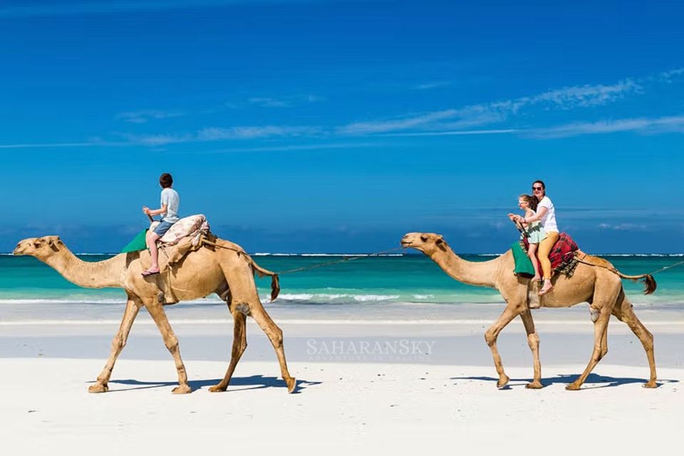 Djerba: Lagoon Camel Ride Experience - Details of the Experience