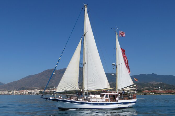 Dolphin Watching Adventure in Estepona Bay - Meeting Point Details