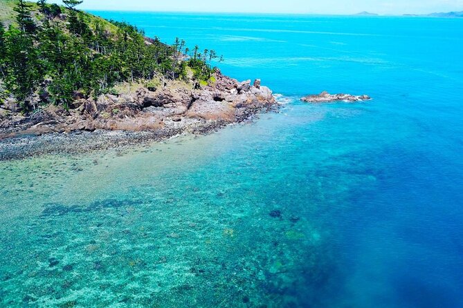 Double Dive Adventure Day Tour - Dive Safari Whitsundays - What to Expect on Tour