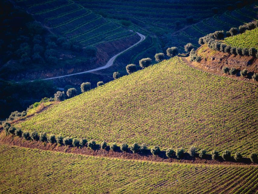 Douro Valley: 1 Day Landscape Photo Tour - Itinerary Highlights