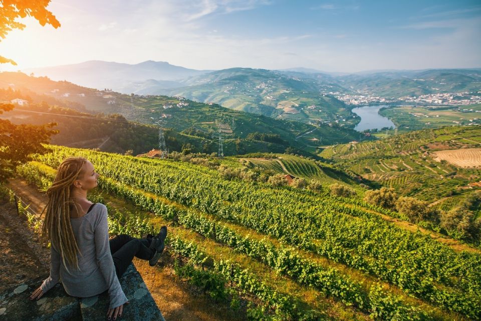 Douro Valley: Full-Day Private Wine Tour With Lunch - Tour Description