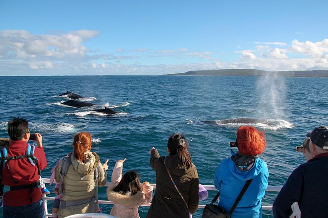 Dunsborough Whale Watching Eco Tour - Onboard Amenities and Services