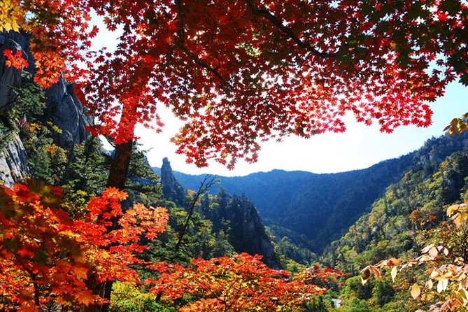 Essential Autumn Foliage of Korea 3 Days With Sorak and Odaesan Mountain - Private Transportation and Guides