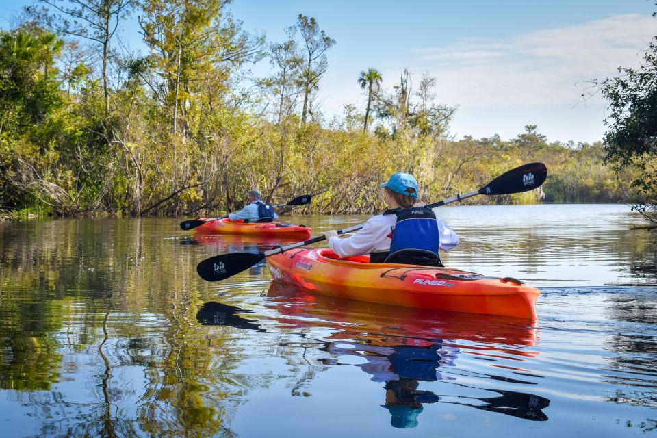 Everglades City: Guided Kayaking Tour of the Wetlands - Meeting Point and Important Information