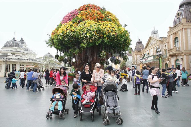 Everland Amusement Park With Free-Ride Ticket - Itinerary and Schedule Details