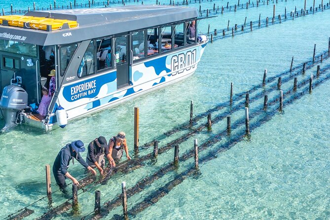 Experience Coffin Bay Oyster Farm and Bay Tour - Scheduling and Accessibility