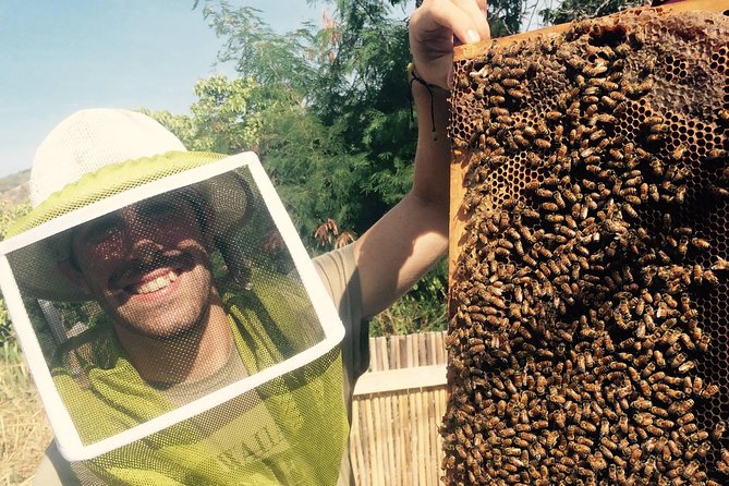 Experience Our Honey Farm And Beekeeping Tour - Honey Tasting Experience