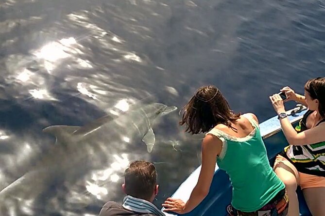 Fishing, Snorkelling & Dolphin Boat Tour - Booking Information