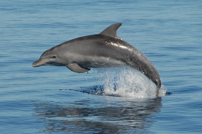 Fraser Island & Dolphin Sailing Adventure - What to Expect on Board