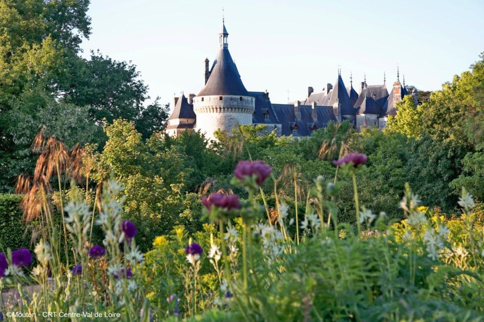 From Blois: Chaumont-sur-Loire, Nature, Wine And History - Activity Duration and Highlights