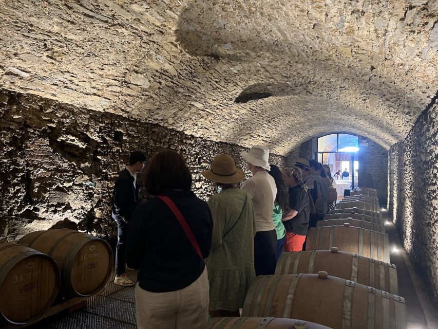 From Florence: Chianti Visit to 3 Cellars W/Lunch&Transfer - Itinerary Highlights