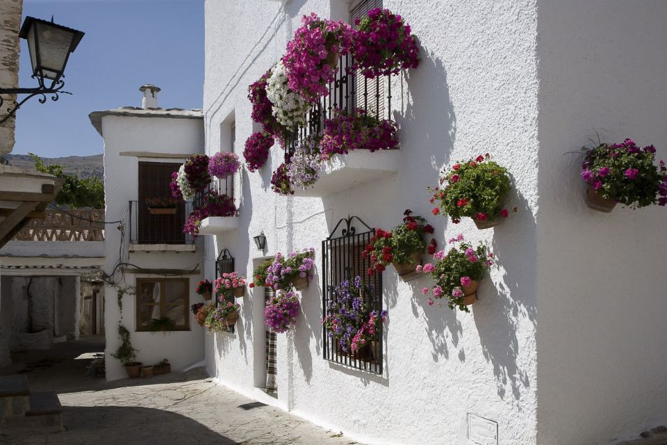 From Granada: Alpujarra Mountain Villages Tour - Customer Reviews