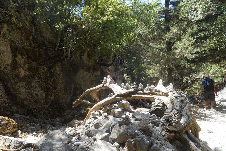 From Heraklion: Imbros Gorge Hiking Experience - Activity Description