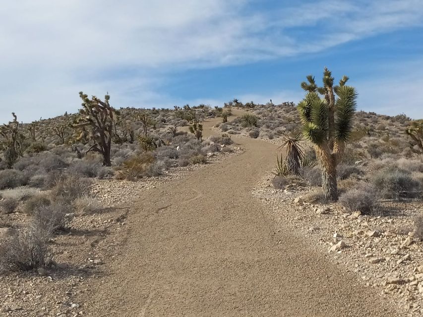 From Las Vegas: ATV Off-Road Adventure With Transfer Shuttle - Experience Highlights of the ATV Tour