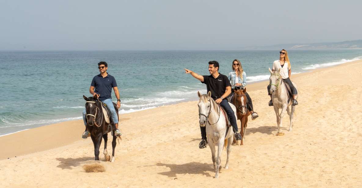 From Lisbon: Comporta and Setúbal Trip With Horseback Riding - Activity Highlights