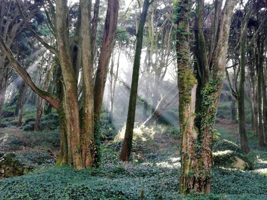 From Lisbon: Private Tour to Sintra With Local Pastry - Pricing and Duration