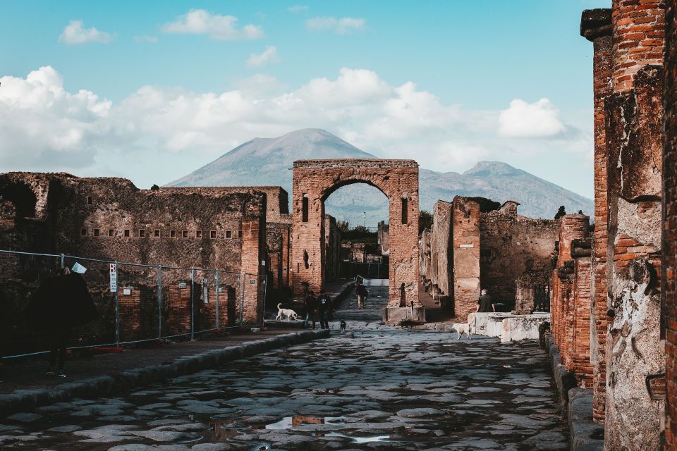 From Naples: Pompeii and Amalfi Coast Private Excursion - Inclusions and Exclusions