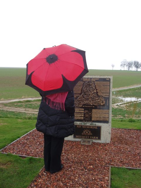 From Paris: WWI Somme Battlefields Full-Day Tour - Experience Highlights