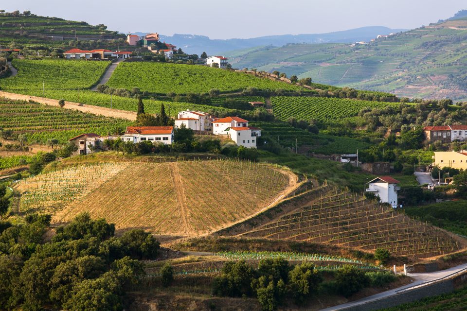 From Peso Da Regua: Douro Valley Tour - Itinerary Highlights