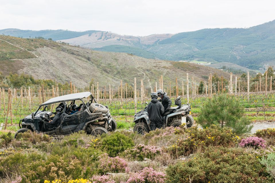 From Porto: Off-Road Buggy Adventure - Customer Experience