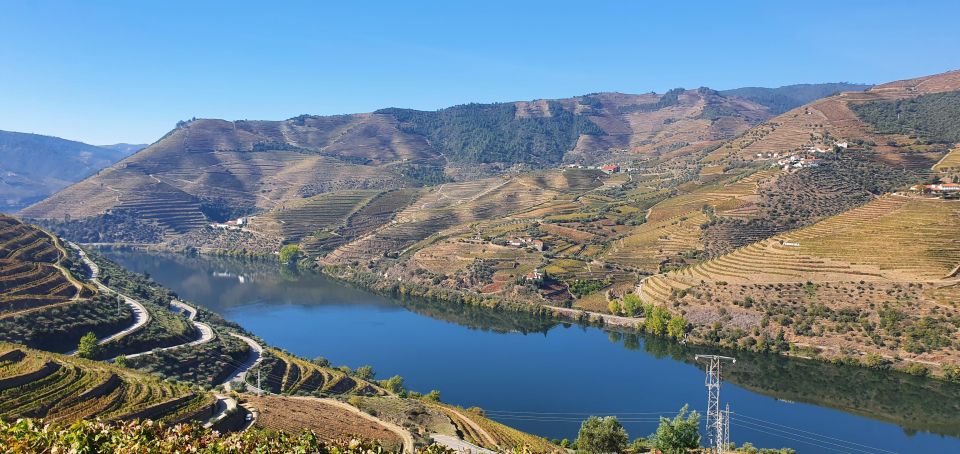 From Porto Private Wine Tour With 2 Tastings, Boat and Lunch - Practical Information