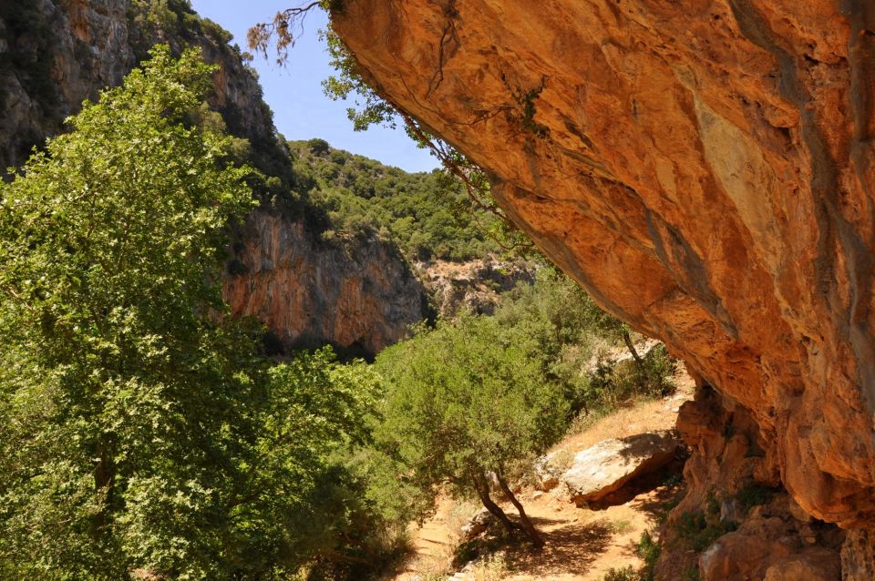 From Rethymno: Guided Day Trip to the South Coast - Inclusions and Experience