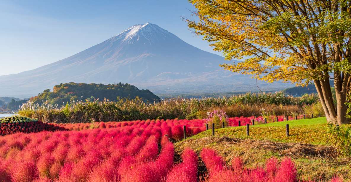 From Tokyo: Mount Fuji Highlights Private Day Tour - Ticket Information