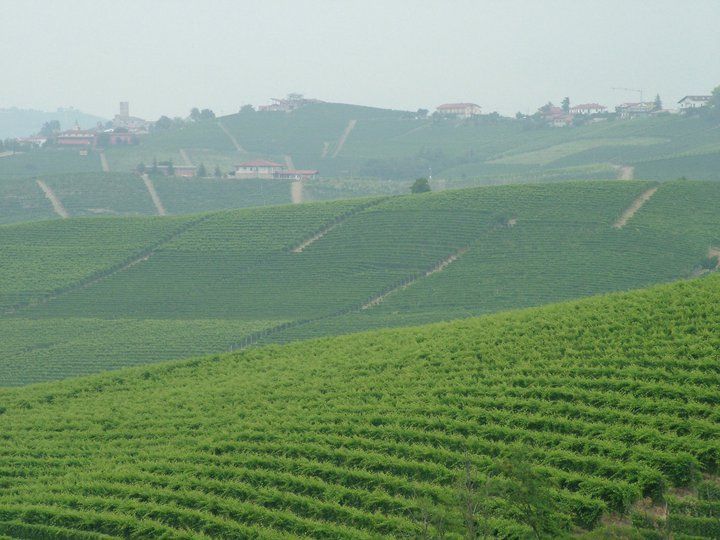 From Turin: 8-Day Cycling Tour in Piedmont - Highlights of the Journey