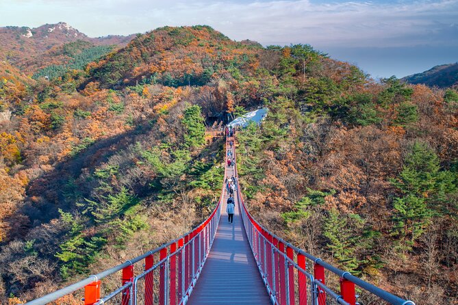 Full Day DMZ With Red Suspension Bridge Tour From Seoul - Whats Included in the Tour