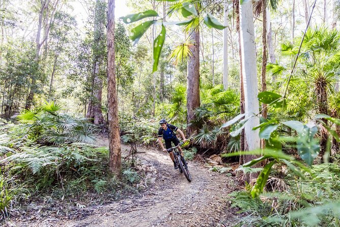 Full Day E Mountain Bike and Kayak in Noosa - What to Expect