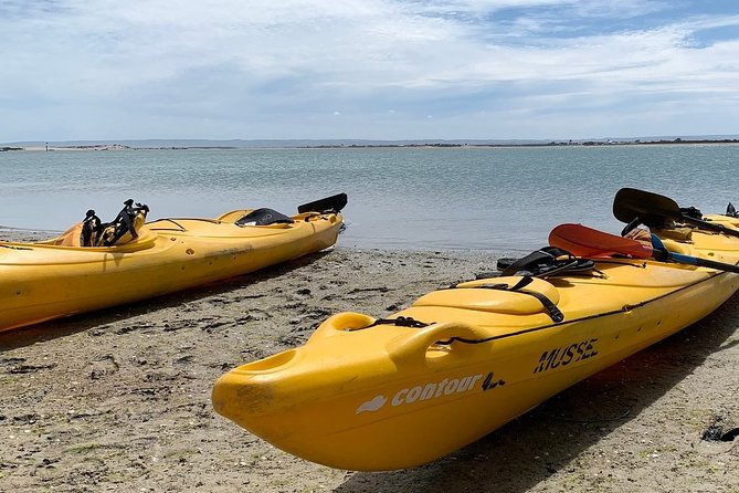 Full Day Kayaking Tour in Coorong National Park - Exploring Coorong National Park