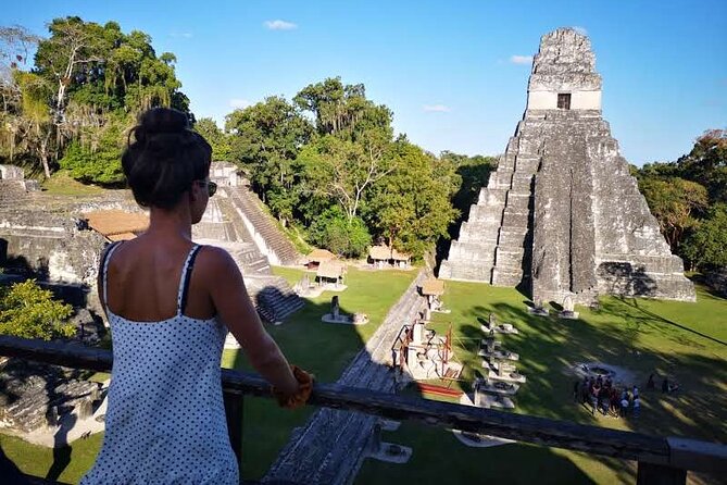 Full-Day Tikal Architecture, Culture and Nature Tour  - Belize - Tour Overview and Highlights