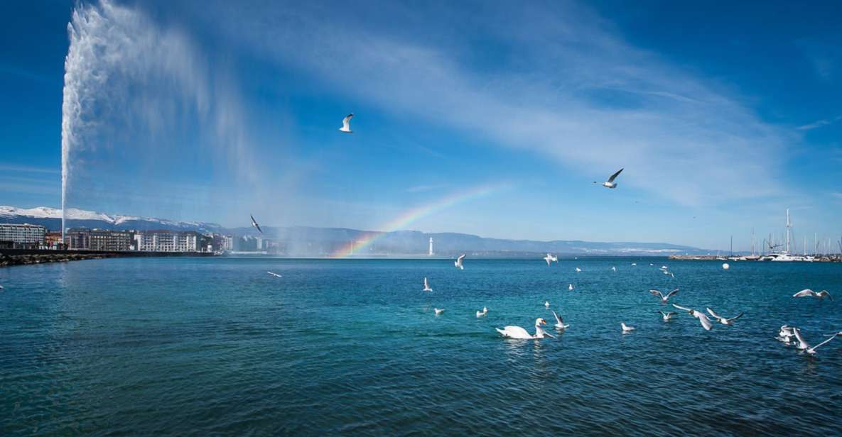 Geneva City Tour and Boat Cruise - Experience Highlights