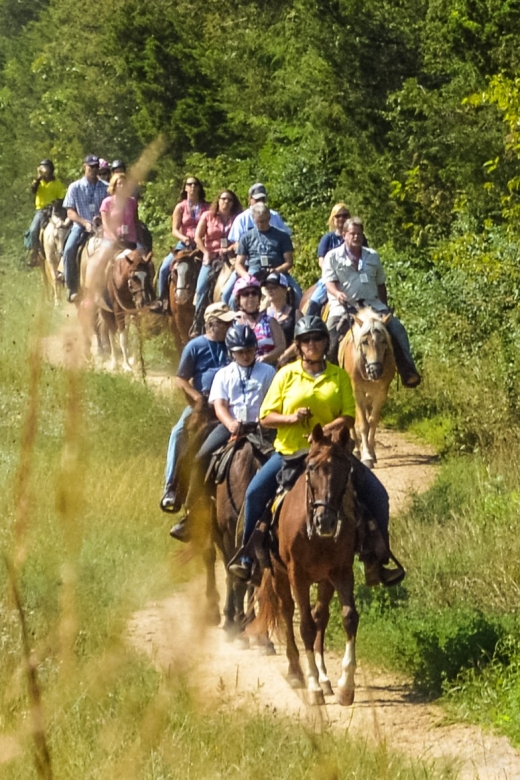 Gettysburg: Licensed Guided Battlefield Horseback Tour - Experience Highlights