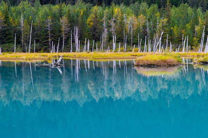 Glacier & Wildlife Discovery Tour - Wildlife Viewing Opportunities