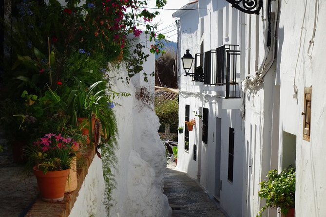 Guided Walking Tour of the Old Town of Frigiliana - Meeting Point Details