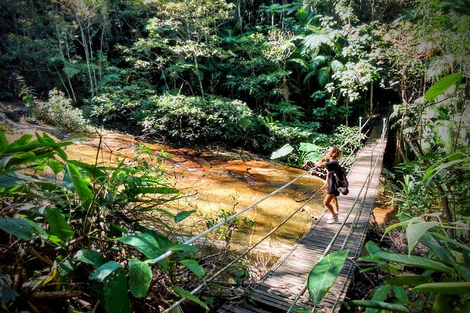 Half-Day Guided Tour of Tijuca Forest National Park  - Rio De Janeiro - Pickup Information and Logistics