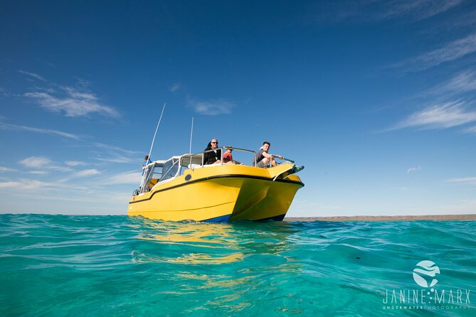 Half Day Snorkel 2.5hr Turtle Tour on the Ningaloo Reef, Exmouth - What to Expect on Board