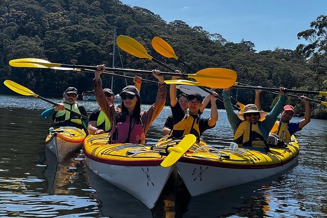 Half-Day Sydney Middle Harbour Guided Kayaking Eco Tour - What to Expect on Tour