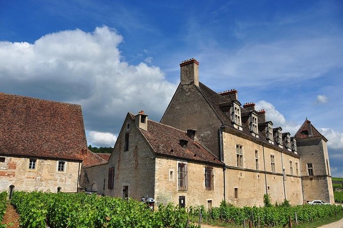 Half Day Tour of the Cote De Nuits Vineyards From Dijon - Languages Available