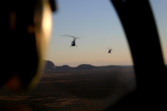 Helicopter Scenic: Lizard Safari - Unforgettable Aerial Experience