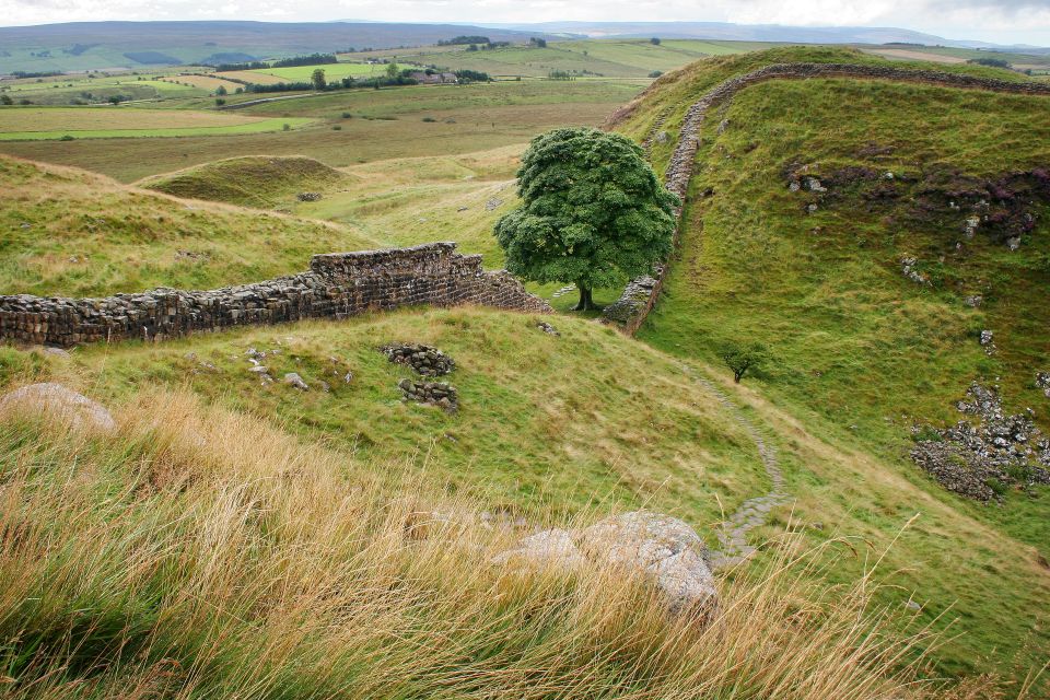 Hexham: Hadrians Wall and The Romans Full Day Guided Tour - Pricing and Duration