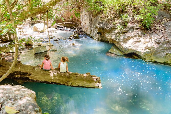 Hiking Tour of La Leona Waterfall With Lunch - Tour Details and Logistics